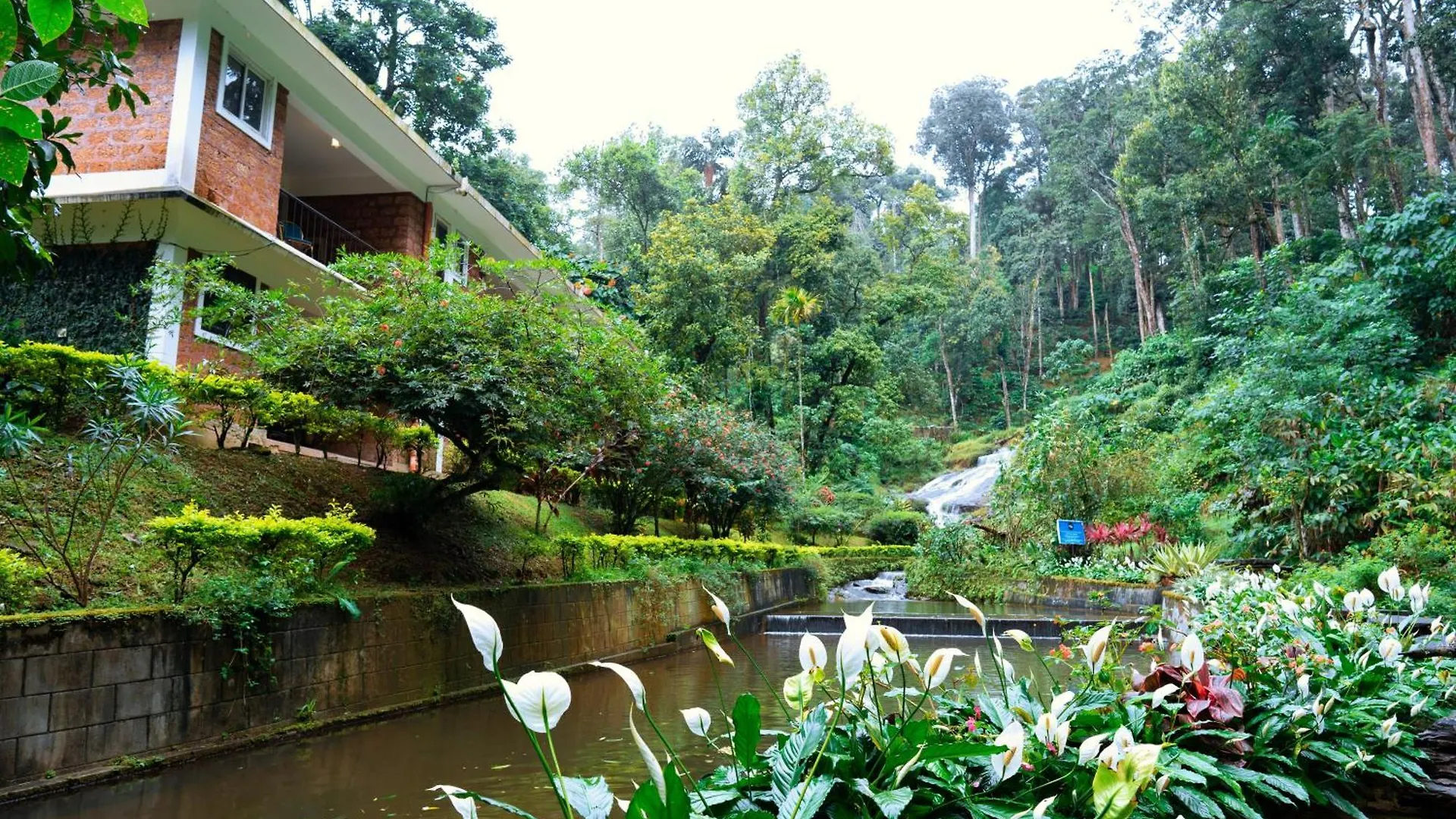 Falling Waters Munnar
