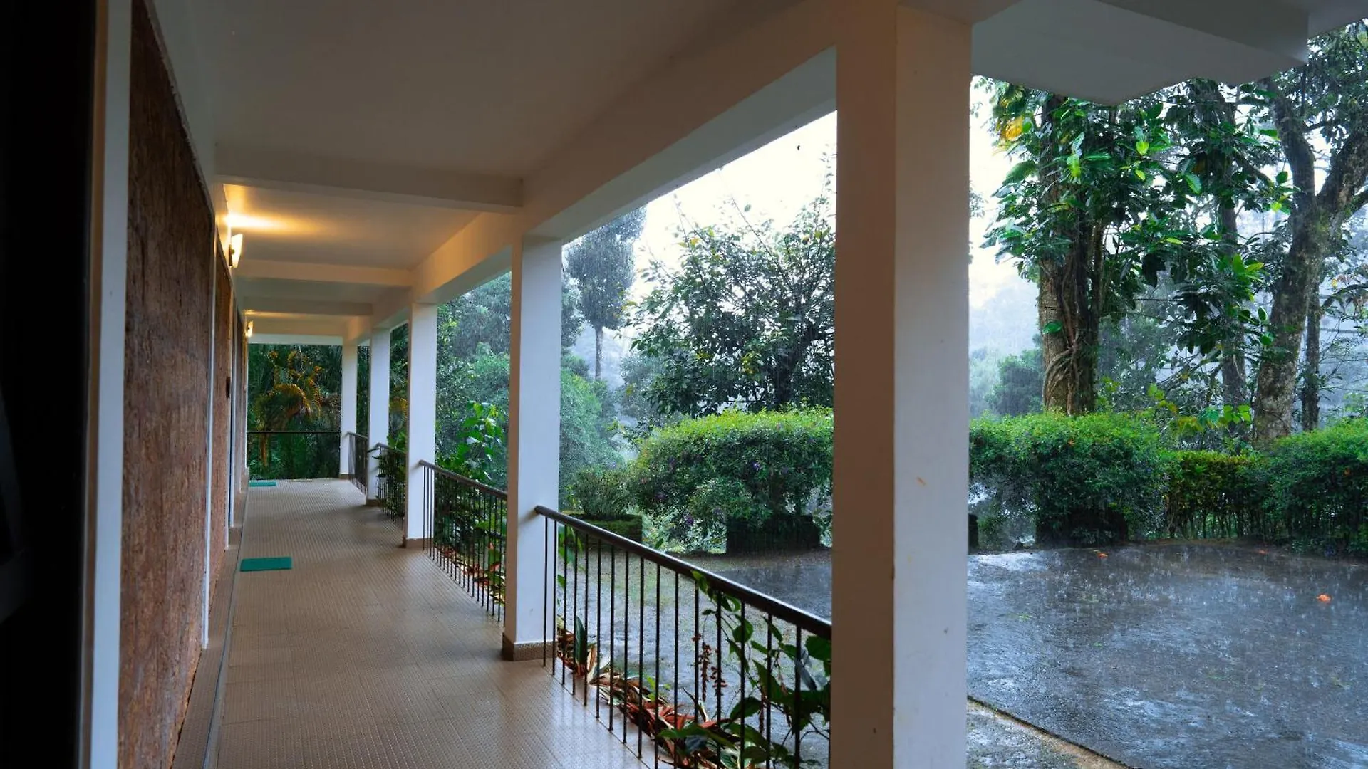 Falling Waters Munnar India