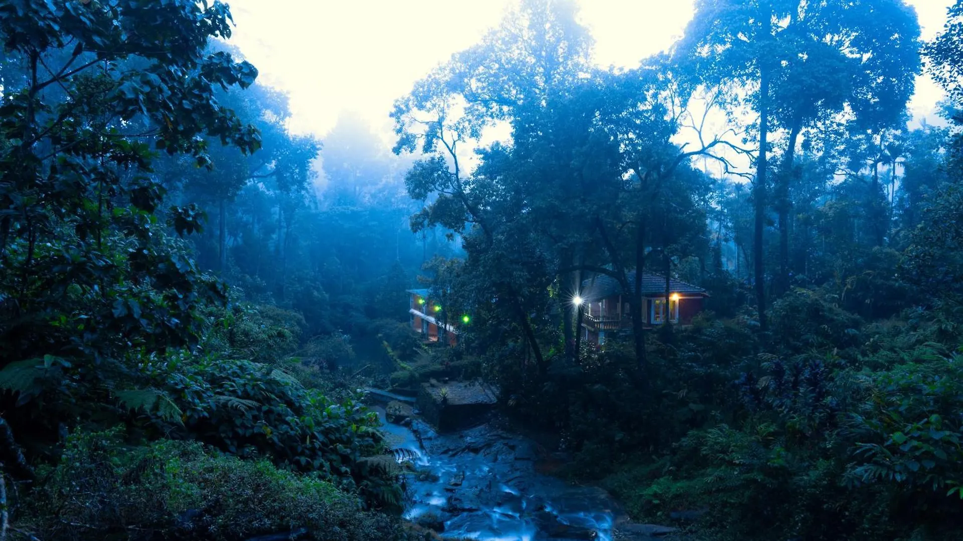 Falling Waters Munnar 3*,  India